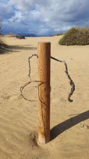 2023-GC-Dunas_Maspalomas-066.jpg